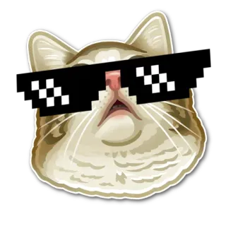😎 fe6d2feb แมว, แว่นกันแดด, พิกเซล, มีม, เท่, สัตว์ telegram sticker