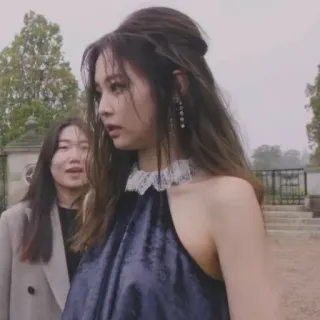 🐻 9c46053a telegram sticker