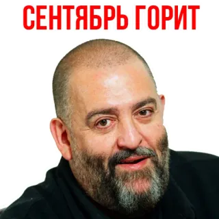 😜 cb7a185b СЕНТЯБРЬ ГОРИТ 9月, 火, 燃焼, テキスト, ロシア語 whatsapp sticker