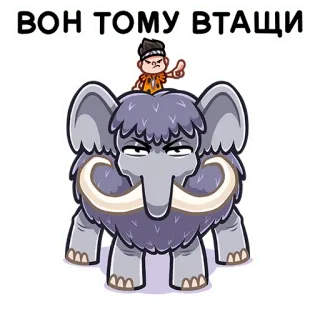 Тибо :: @stickroom telegram stickers