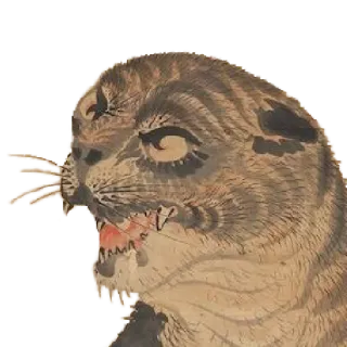 😃 630bde7a แมว, สัตว์, สัตว์ตระกูลแมว, สัตว์เลี้ยงลูกด้วยนม, ภาพเหมือน, วินเทจ, แมวบ้าน, สัตว์เลี้ยง telegram sticker