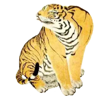 👿 815b9e47 เสือ, สัตว์, สัตว์ป่า, แมว, ภาพวาด telegram sticker