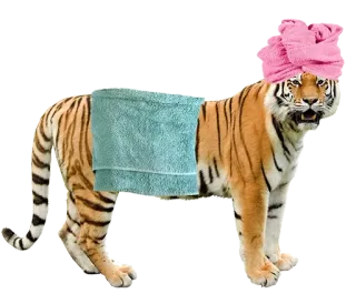 tigger telegram stickers