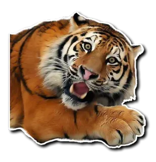 🥳 c5957969 tygrys, zwierzę, dzika przyroda, kot, ssak, natura telegram sticker