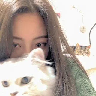 ☁️ 5c4e1401 mulher, gato, animal de estimação, animal, retrato, animal doméstico telegram sticker