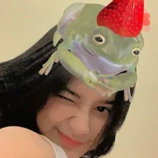 ☁️ 7c6a5a77 mulher, rã, morango, piscar, chapéu, filtro telegram sticker