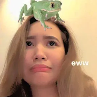 ☁️ a6658ba9 eww menina, rã, eca, rosto, expressão, adesivo telegram sticker