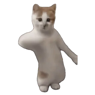 💃 c7a4e0c1 Katze, tanzen, meme, Tier, weiß, braun whatsapp sticker
