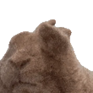 🐰 e0980bb5 whatsapp sticker