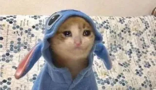 амина, хуй соси :: @fStikBot whatsapp stickers