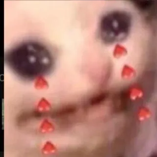 ❤ d5565844 płaczący kot, smutny kot, łzy serca, mem, kot telegram sticker