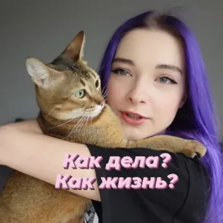 🤗 653f0ac6 Как дела? Как жизнь? mèo, phụ nữ, tóc tím, tiếng Nga, câu hỏi, xin chào whatsapp sticker