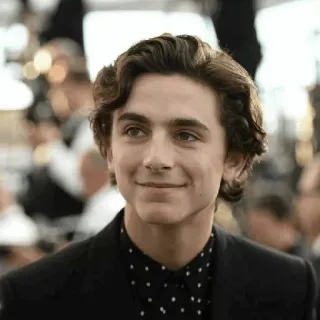 📯 00cfd92c Timothée Chalamet Schauspieler, Porträt, Promi, Mann, Person, Lächeln whatsapp sticker