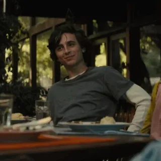 📯 2202086e Timothée Chalamet Schauspieler, Promi, Porträt, Tisch, Innenbereich, Person whatsapp sticker