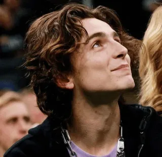 📯 2e356e2c Timothée Chalamet Timothée Chalamet, Schauspieler, Porträt, Promi, Mann whatsapp sticker