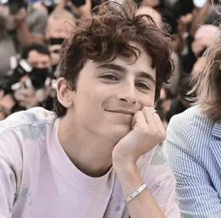 📯 389a093d Timothée Chalamet Schauspieler, Promi, Porträt, Person, Mann whatsapp sticker