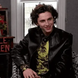 📯 5af59f91 Timothée Chalamet Schauspieler, Promi, Porträt, Mann, Person whatsapp sticker