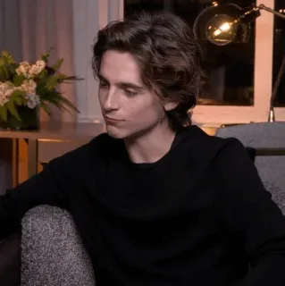 📯 6093cbb0 Timothée Chalamet Timothée Chalamet, Schauspieler, Promi, Porträt, Person whatsapp sticker