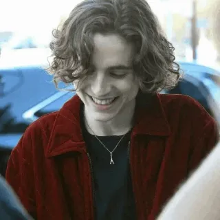 📯 91976236 Timothée Chalamet Schauspieler, Promi, Lächeln, Locken, rote Jacke whatsapp sticker