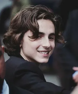 📯 9fcf7dfb Timothée Chalamet Schauspieler, Promi, Mann, Porträt, lächelnd whatsapp sticker
