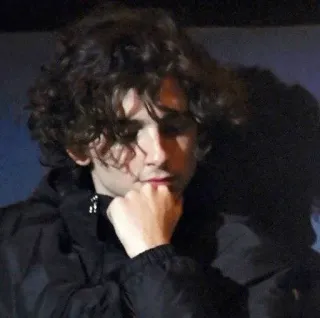 📯 b1b7c3ef Timothée Chalamet Schauspieler, Promi, Porträt, Mann, Locken, Casual whatsapp sticker