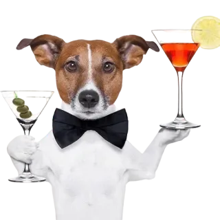 🕴 28365925 chó, người pha chế, cocktail, martini, động vật, hài hước, dễ thương, chó Jack Russell telegram sticker