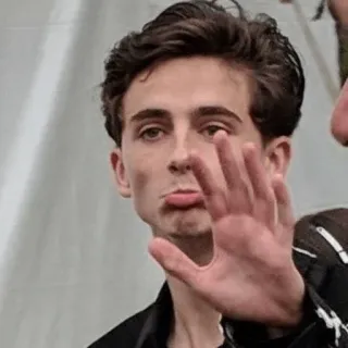 🤚 0457fcd6 Timothée Chalamet actor, mano, retrato, celebridad, hombre, saludando telegram sticker