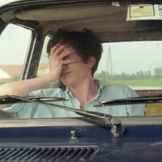 😭 1322d56e Timothée Chalamet Call Me By Your Name actor, coche, triste, película, retrato telegram sticker
