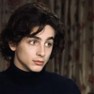 😳 194a2034 Timothée Chalamet Actor, Retrato, Celebridad, Timothée Chalamet telegram sticker