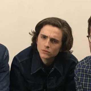 🤨 19e46f7a Timothée Chalamet actor, retrato, celebridad, Timothée Chalamet telegram sticker