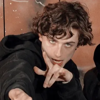 😎 34005df0 Timothée Chalamet actor, retrato, celebridad, hombre, persona, pelo rizado telegram sticker