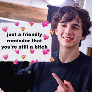 👈 70dd254b Timothée Chalamet just a friendly reminder that you're still a bitch Meme, Humor, Ofensivo, Recordatorio, Amigo telegram sticker