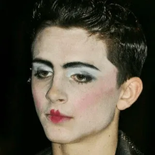 😔 828dc9a4 Timothée Chalamet maquillaje, retrato, celebridad, actor telegram sticker