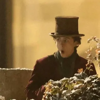 😳 9141e511 Willy Wonka willy wonka, fábrica de chocolate, timothée chalamet, caramelo, sorpresa, sombrero de copa telegram sticker