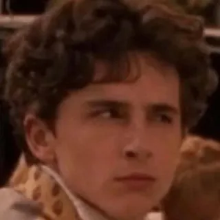 🤨 ab1f8920 Timothée Chalamet actor, celebridad, retrato, persona, pelo rizado, joven, hombre telegram sticker