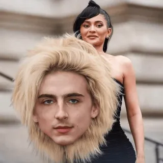 🤭 b20b231c Timothée Chalamet Celebridad, Kylie Jenner, Timothée Chalamet, Meme, Divertido, Broma telegram sticker