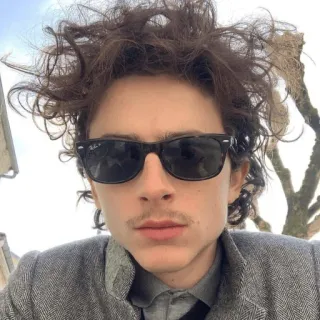 😎 c19b781a Timothée Chalamet actor, famoso, retrato, gafas de sol, Rayban telegram sticker