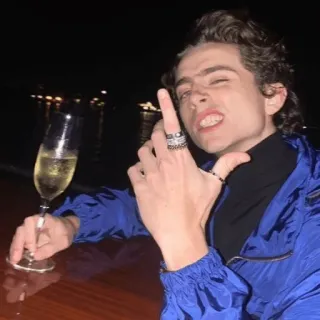 ✌️ f2866d40 dedo corazón, gesto ofensivo, Timothée Chalamet, celebridad, grosero, gesto telegram sticker