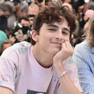 😘 f39ae030 Timothée Chalamet Timothée Chalamet, actor, retrato, celebridad, persona, sonrisa telegram sticker