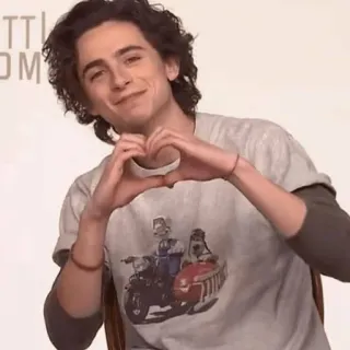 ❤️ f76c930b Timothée Chalamet celebridad, actor, corazón, sonrisa, película, chalamet telegram sticker