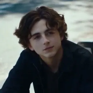 🙃 03837cd0 Timothée Chalamet attore, celebrità, ritratto, persona, uomo telegram sticker