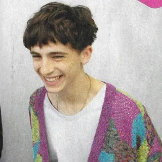 😁 1aa01e52 Timothée Chalamet attore, celebrità, ritratto, sorridente, cardigan, carino telegram sticker