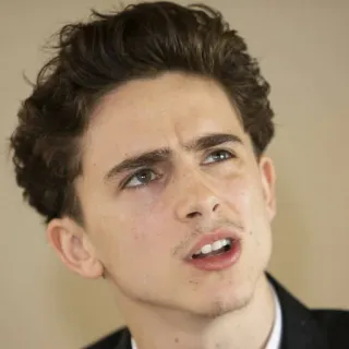 🤬 3071704c Timothée Chalamet Timothée Chalamet, attore, celebrità, ritratto telegram sticker