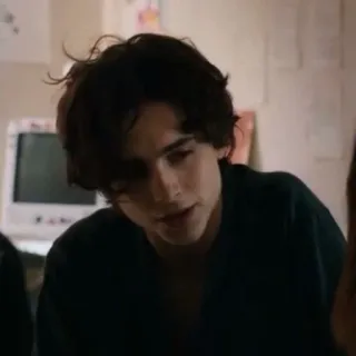 😕 57e7fe6c Timothée Chalamet attore, celebrità, ritratto, uomo telegram sticker