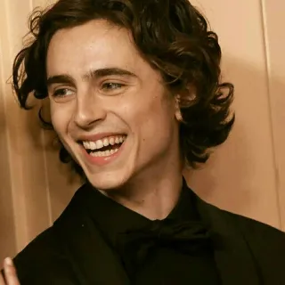 😂 59c07e7f Timothée Chalamet attore, celebrità, ritratto, uomo, sorriso telegram sticker