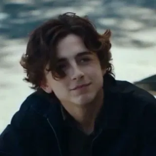 🙃 79607028 Timothée Chalamet Timothée Chalamet, attore, celebrità, persona, ritratto telegram sticker