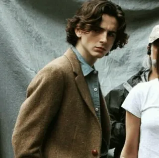 😠 81fb5dcb Timothée Chalamet attore, celebrità, ritratto, uomo telegram sticker