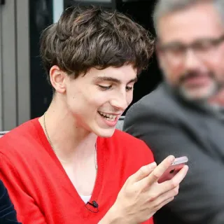 😃 84abe31e Timothée Chalamet attore, celebrità, Timothée Chalamet, persona, uomo telegram sticker