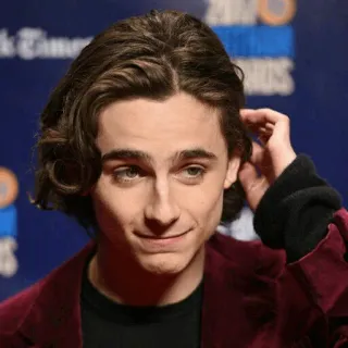 😏 abcb644e Timothée Chalamet attore, celebrità, ritratto, persona telegram sticker