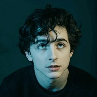 🙄 b061e582 Timothée Chalamet Timothée Chalamet, attore, ritratto, celebrità telegram sticker